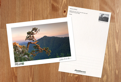 Poland - Love to be here... - Pieniny, Pine