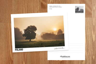 Poland - Love to be here... - Podlasie in autumn - lonely tree
