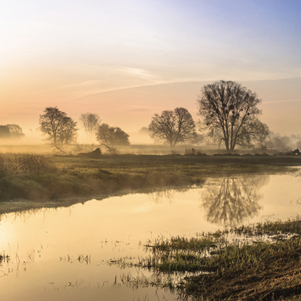 Poland - Love to be here... - Morning by the river