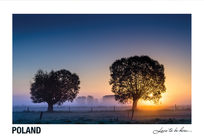  Poland - Love to be here... - Willows Morning 