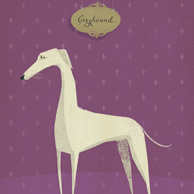 Joanna Rusinek - Greyhound