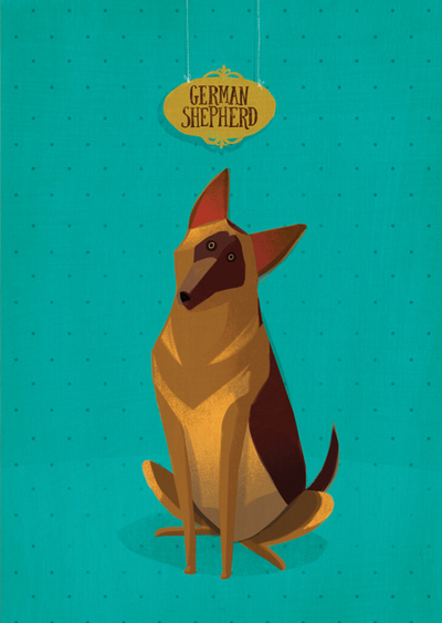 Joanna Rusinek - German Shepherd