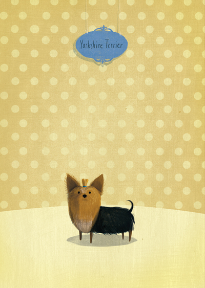 Joanna Rusinek - Yorkshire terrier