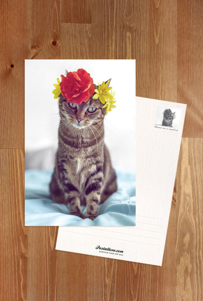 Cute cat with flower crown
