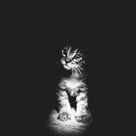 Monika Małek - Alone in the darkness