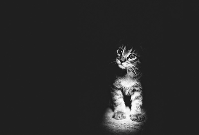 Monika Małek - Alone in the darkness