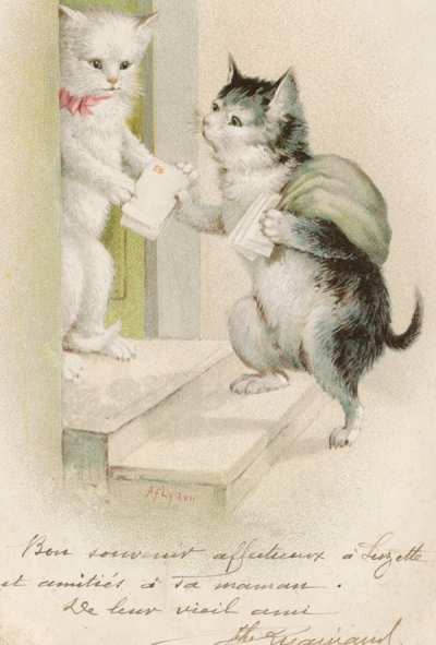 Cat postman