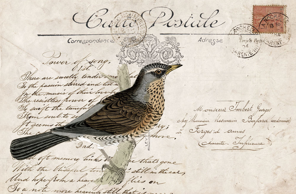 Collage with a bird / Retro / Postcards / Postallove - postcards made