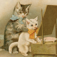 Cats & mirror