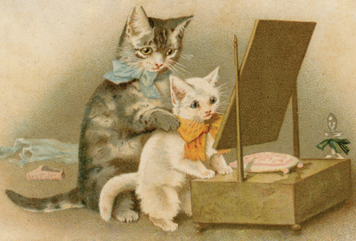 Cats & mirror