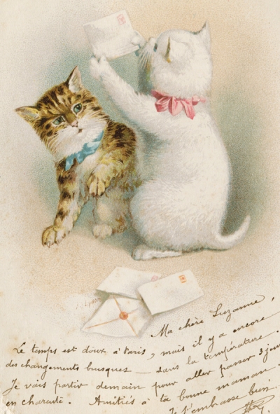 Cats with mails