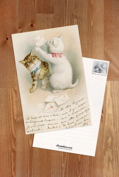 Cats with mails