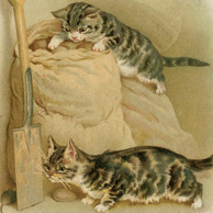 Hunting kittens