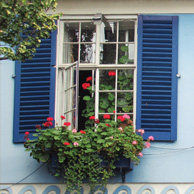 Blue Shutters - Anna Markiewicz