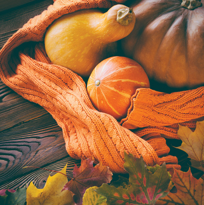 Autumn composition 