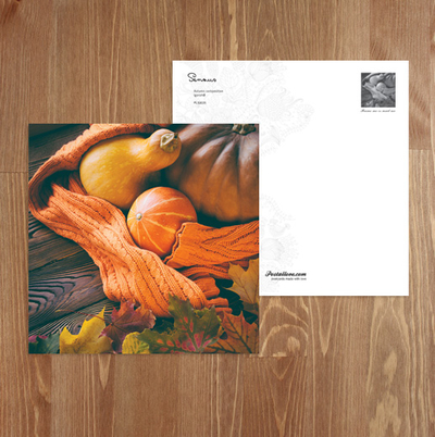 Autumn composition 