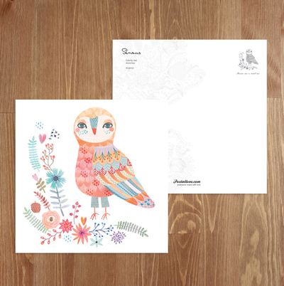 Colorful owl