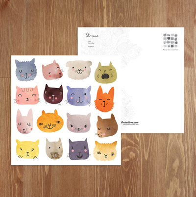 Colorful cats