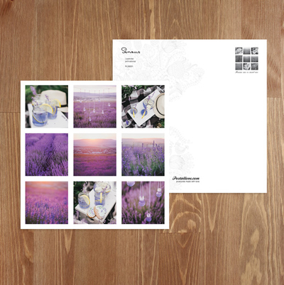 Lavender mosaic