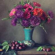 Still life with bouquets of asters and zinnias
