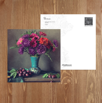 Still life with bouquets of asters and zinnias