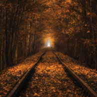 Paweł Uchorczak - Autumn tunnel