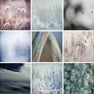 Winter mosaic