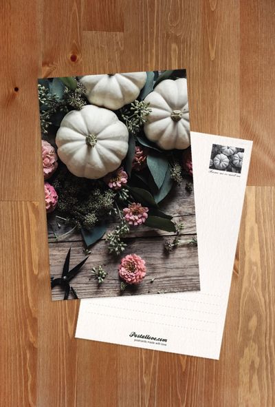 White pumpkins and flowers