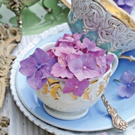 Hydrangeas and porcelain