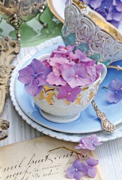 Hydrangeas and porcelain