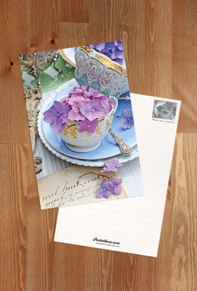 Hydrangeas and porcelain