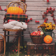 Autumn decor