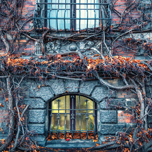 Autumn walls of the Wroclaw National Museum 