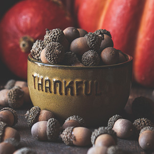 Still life with acorns