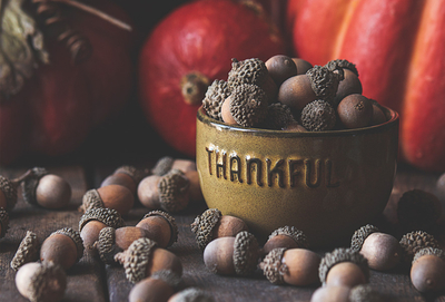 Still life with acorns