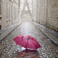 Paris umbrella
