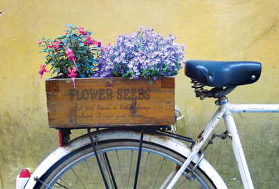 Bike & Flowers