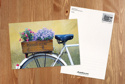 Bike & Flowers