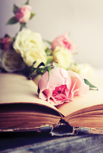 Roses and old book