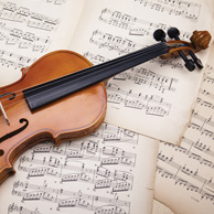 Violin