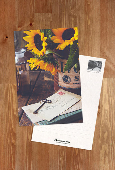 Old letters and sunflowers
