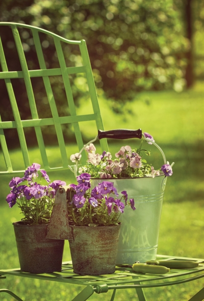 Spring in the garden