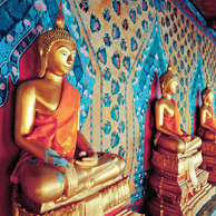 Golden statues of Buddha 