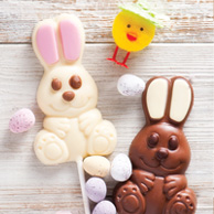 Chocolate bunnies