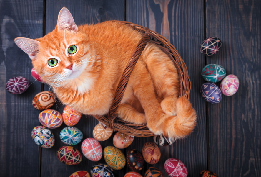 Red cat & Easter eggs / Easter / Postcards / Postallove postcards