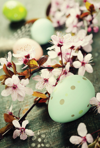 Easter apple blossoms