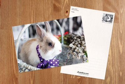 Easter bunny
