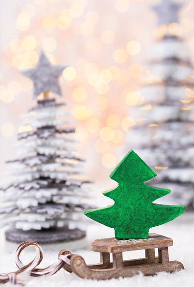 Christmas Tree on Sled