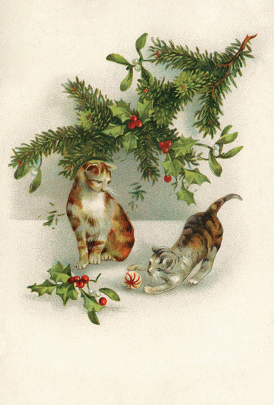 Cats and Christmas ornaments