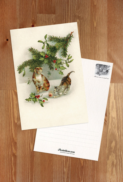 Cats and Christmas ornaments